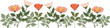 Wildflowers nature border frame illustration