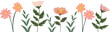 Wildflowers nature border frame illustration
