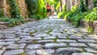   A woman strolls along a cobblestone path, surrounded by a verdant expanse Ivy adorns the road's edges