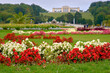 © maxdigi - Schoenbrunn Palace Garden Flowers Vienna Austria. The flowers and gardens, with the Gloriette in the background, on the grounds of Schonbrunn Palace. Vienna, Austria.