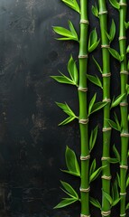 Canvas Print - Close-up of green bamboo stems with fresh leaves on a dark background with a copy space for text.