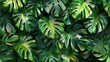 Decorative Leaf. Vibrant Lush Monstera Leaves of Exotic Flora and Botany