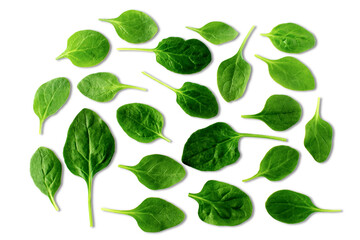 Wall Mural - garden fresh green leafy vegetable spinach leaf also known in india as palak bhaji isolated,cutout in transparent background,png format 
