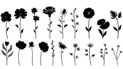 Wall Mural - A set of different species of wildflowers silhouetted against a white background, depicting the beauty and diversity of nature