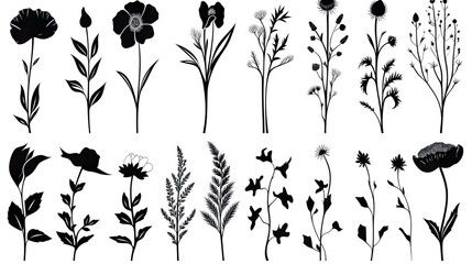 Wall Mural - A diverse collection of plants and flowers in black silhouette form, captured in detailed outlines to highlight nature's allure