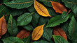 leaf background looks beautiful