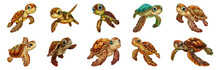 Cute Animated Sea Turtles With Expressive Eyes Cut Out Png On Transparent Background
