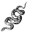 Black and white python PNG illustration. Monochrome boa constrictor. Drawing of a large snake on transparent background. Reptile from the family of scaly snakes.