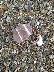 Wall Mural - A stone and a shell on a pebble