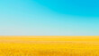 Endless Golden Wheat Field Under a Clear Blue Sky - Agricultural Splendor