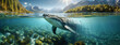 A humpback whale swims near the surface in a fjord. Beneath sunbeams, the majestic marine mammal glides through clear, aquamarine waters, framed by verdant cliffs.