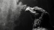   A monochrome image of a bird with smoke emanating from its beak against a dark backdrop