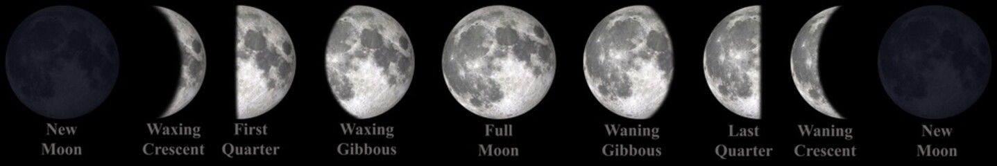 Wall Mural - all phases of moon waning crescent, third quarter, waning gibbous, full moon, waxing gibbous, first 