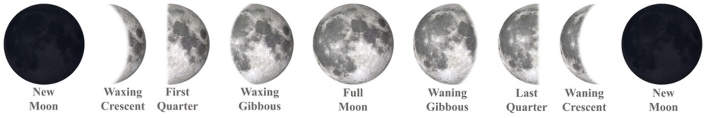 Wall Mural - all phases of moon waning crescent, third quarter, waning gibbous, full moon, waxing gibbous, first 