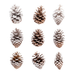 A collection of frost covered pine cone for Christmas tree decoration isolated against a white background