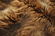 Detailed close-up of a furry animal's fur. Suitable for various nature and wildlife themes