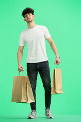 Wall Mural - Man, on a green background, full-length, with bags