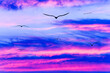 Sunset Birds Flying Silhouette Soaring Beautiful Ethereal Romantic Sky Uplifting Hope