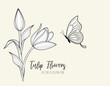  Hand drawn set of tulips branches. Tulip Flower isolated on white paper background. vector illustration.