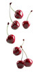 Floating cherries over isolated white transparent background