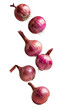 Red onions falling over isolated white transparent background