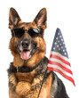 German Shepherd dog portrait posing with American flag and sunglasses over white transparent background