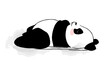 Hand drawn Cute Panda. Sketch with happy smiling black and white bear lying on back and sleeping. Doodle sticker with wild Asian animal. Cartoon flat vector illustration isolated on white background