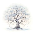Winter tree with snow and ice. Watercolor illustration isolated on white background