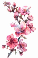 Freshly blossomed spring flowers in watercolor, isolated on white --ar 2:3 Job ID: 2418e526-ac55-4ac0-8e59-507e99fc226e