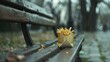 A discarded fast food bag lies forgotten on a park bench, fries peeking out, a snack for the next passerby