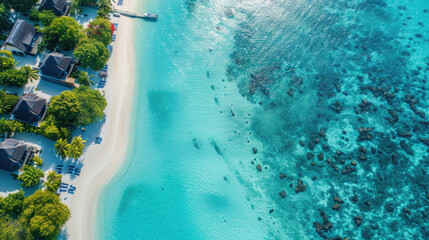 Wall Mural - aerial sea photography