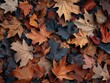 Textured Forest Floor - Earthiness - Fallen Leaves - Close-up of textured forest floor covered in a carpet of fallen leaves 