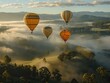 Valley Views - Tranquility - Misty Morning - Hot air balloons floating above fog-covered valleys