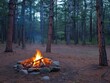 Whispering Pines - Tranquility - Twilight Glow - A campfire casting a warm glow among tall pine trees at dusk