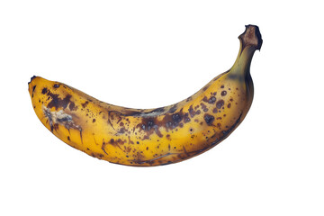 Wall Mural - Banana fruit in close up on transparent background