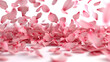 Pink petals of magnolia on white background