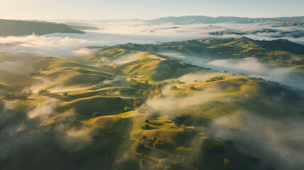 Wall Mural - Aerial view of rolling hills bathed in the soft morning light with mist weaving through the valleys