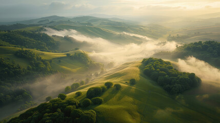 Wall Mural - Aerial view of rolling hills bathed in the soft morning light with mist weaving through the valleys