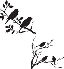 Wall Mural - Set of Birds on branch on white background 