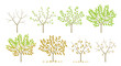 Tree foliage seasons change. The process of withering. Vector illustration.