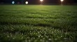 Green grass macro in sports arena with lights background. Close up of soccer field lines. Background soccer lawn grass football stadium ground view.generative.ai 