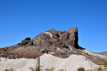 Poster - Hillside with soil and vegetation in sunlight, Big Bend National Park