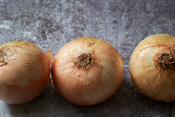 Canvas Print - Onions on vintage background	