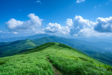 Winding path under green mountains