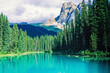 Beautiful mountain lake in a coniferous forest