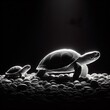A mother turtle and her baby in rim light black and white photography
