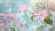 Clematis flowers in pink against a pale blue backdrop