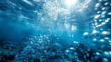 Fototapeta Sypialnia - Underwater Serenity