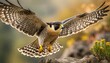 Swift Precision: Peregrine Falcon in Action, Capturing Wildlife Majesty