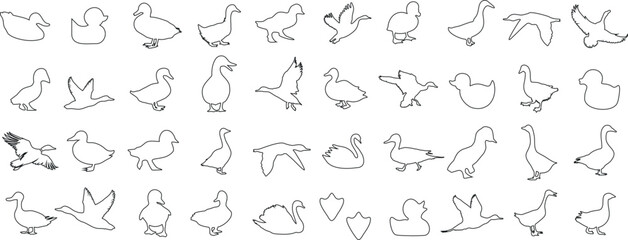 Wall Mural - duck line art illustration, minimalist duck sketch in black, standing, sitting, flying, swimming, se